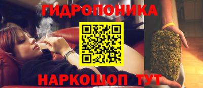 сатива Усть-Джегута